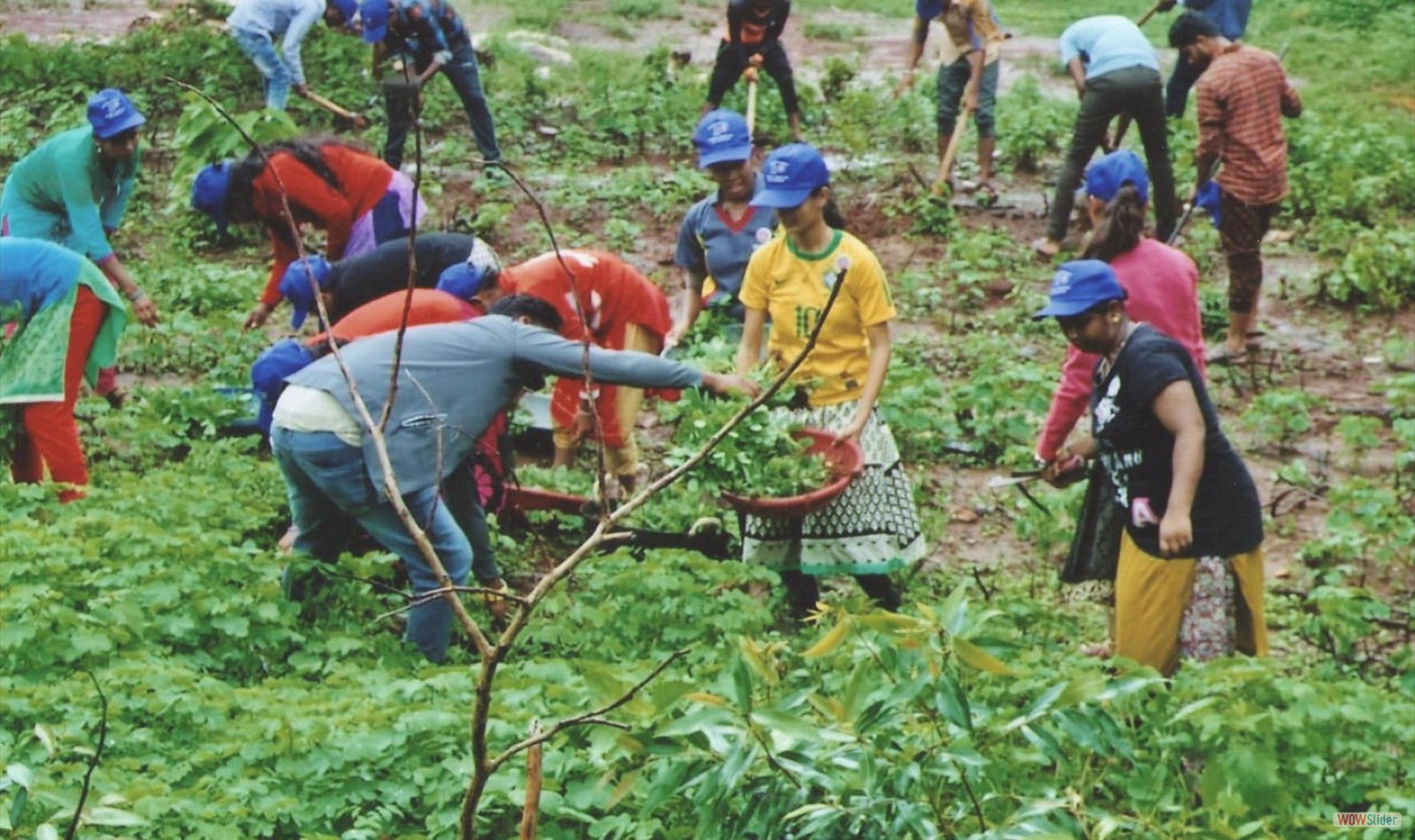 Kuvempu University introduces Green Graduation to award marks for green initiatives
